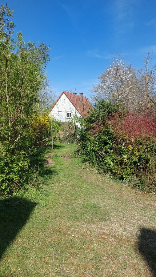 Zufahrt zum Haus Neuburg Wohngrundst�ck Vielseitig nutzbares Grundst�ck mit genehmigtem Bauvorbescheid