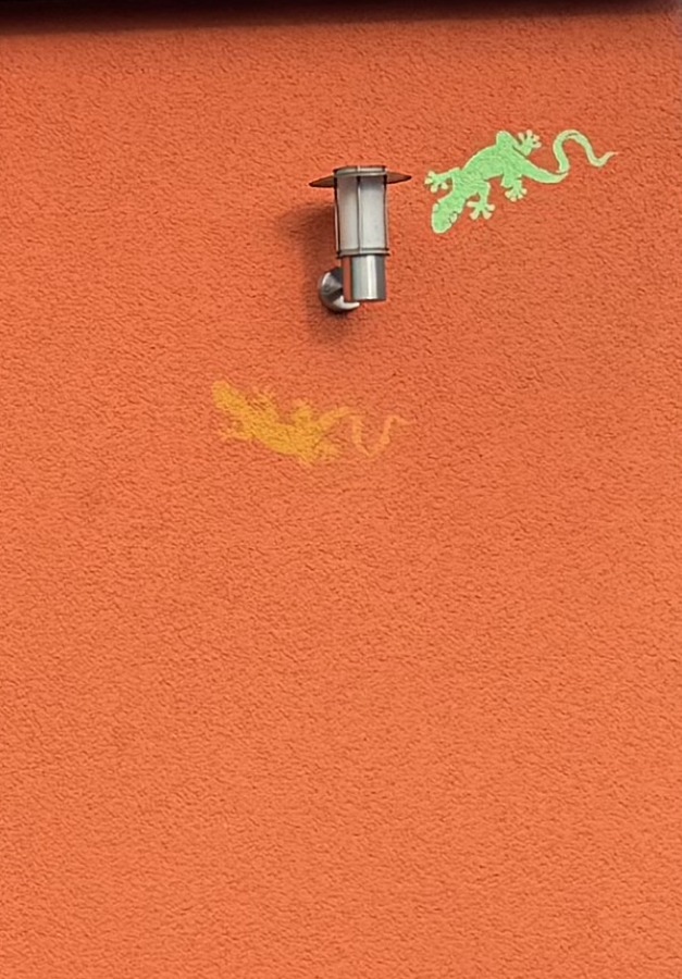 Geckos bewachen das Haus Einfamilienhaus Neus��