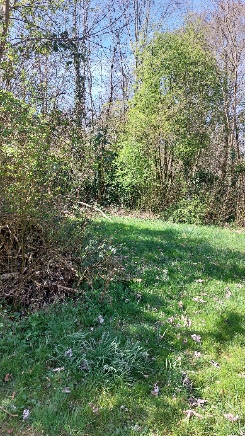 Grundstu?cksfla?che Wohngrundst�ck Neuburg