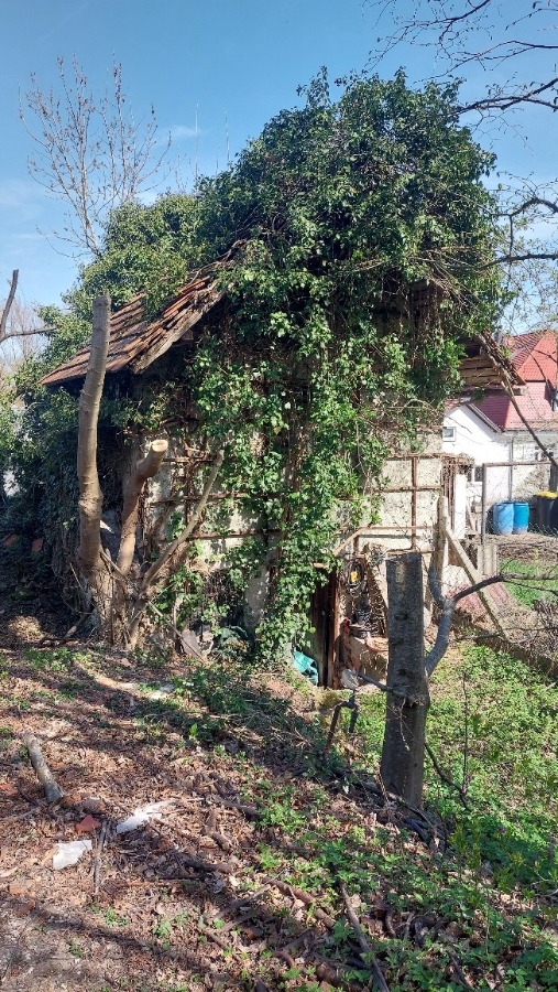 Altes Gera?teschuppenhaus Wohngrundst�ck Neuburg